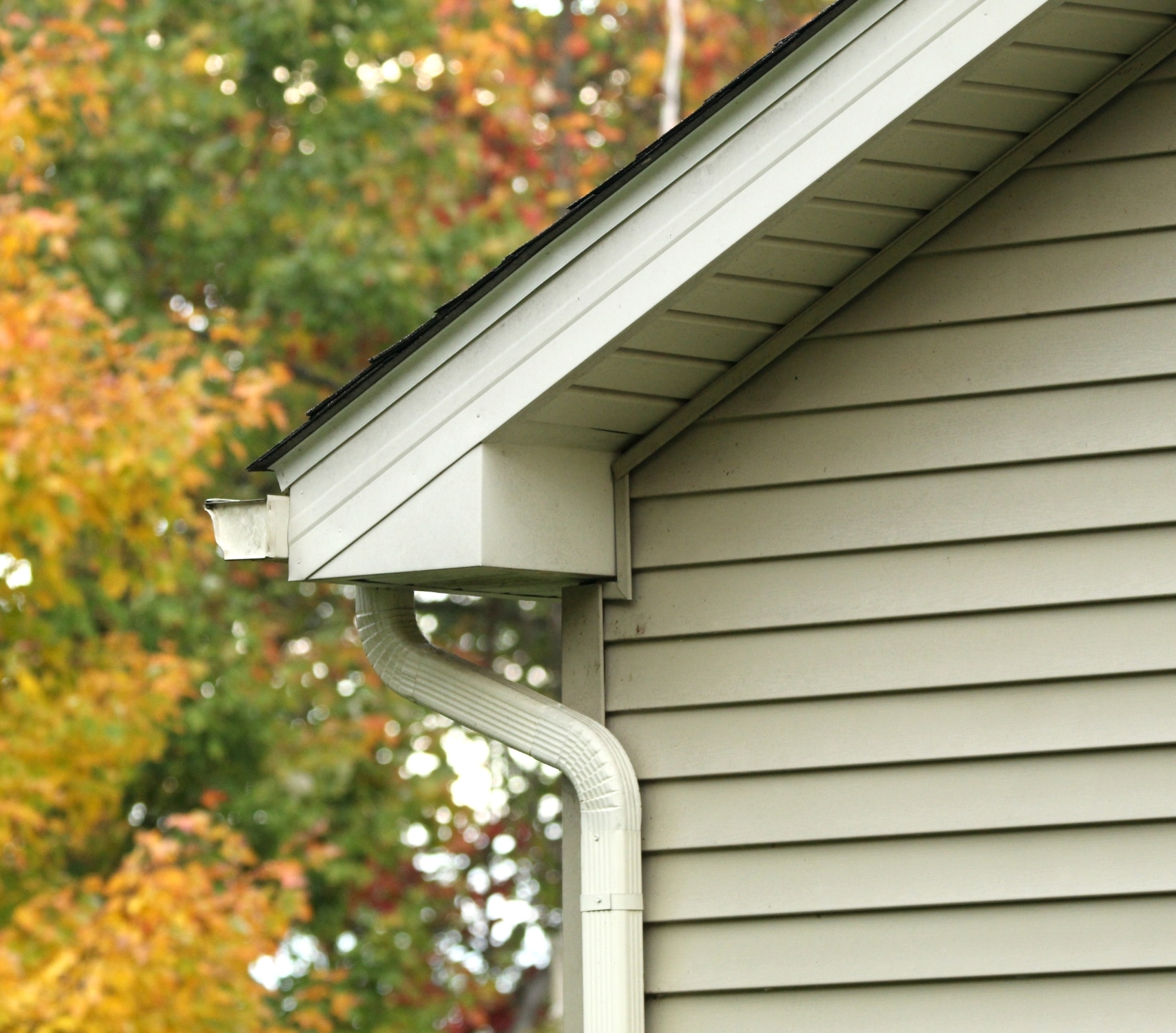 Fascia Vinyl
