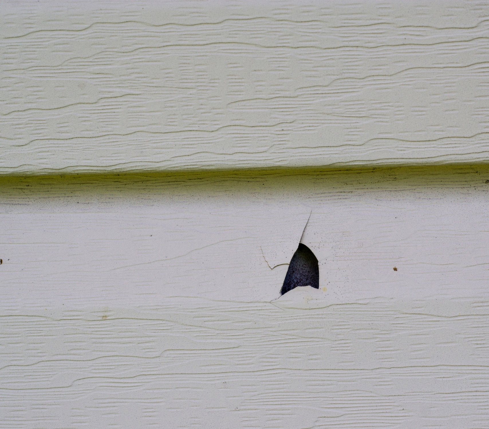 Hail Siding Damage