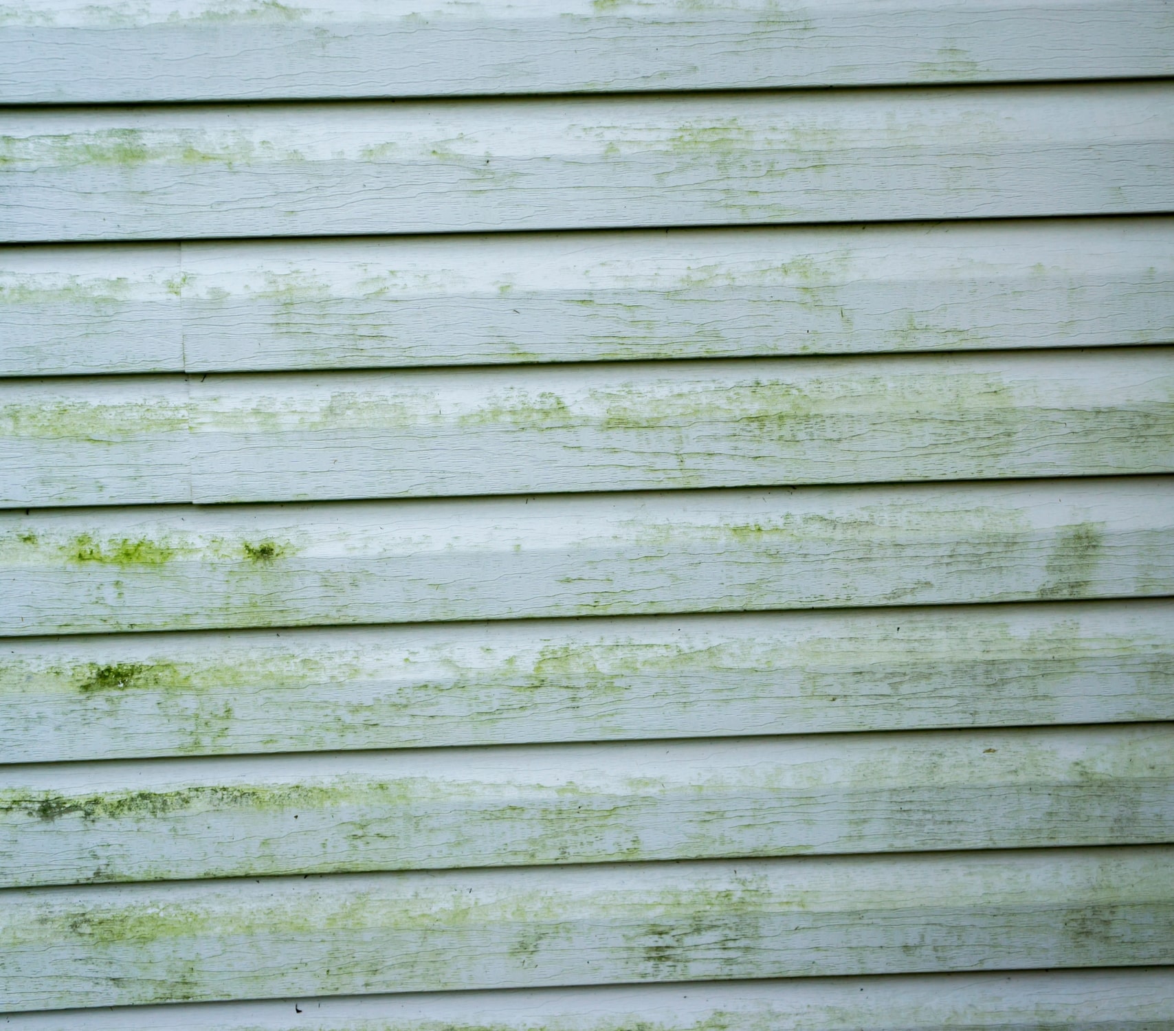 Moisture Siding Damage