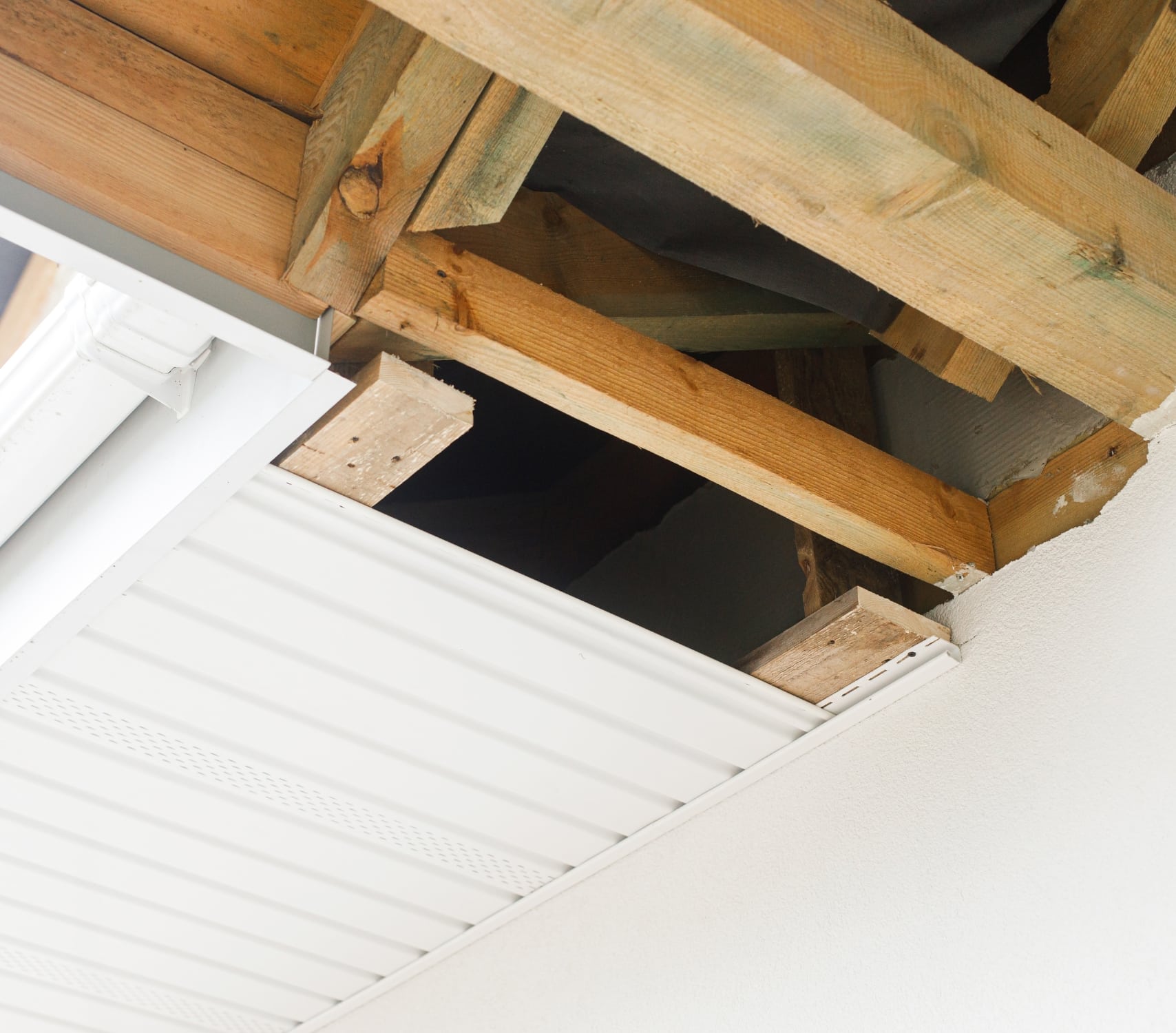 Soffit Moisture