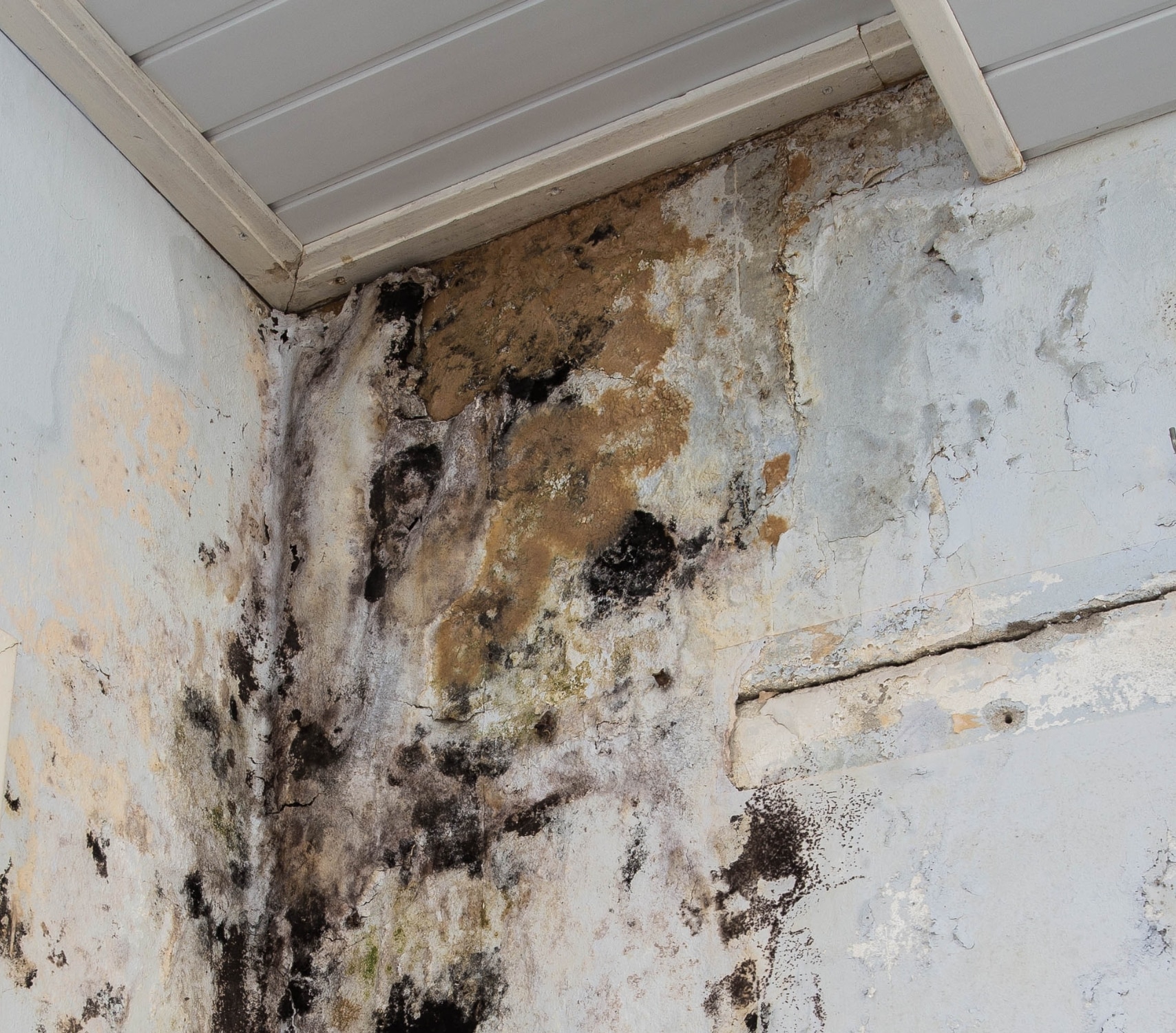Soffit Mold